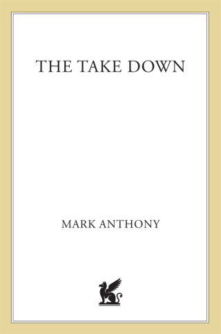 Imagen de portada: The Take Down 9780312340797