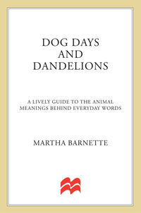 Cover image: Dog Days and Dandelions 9780312280727