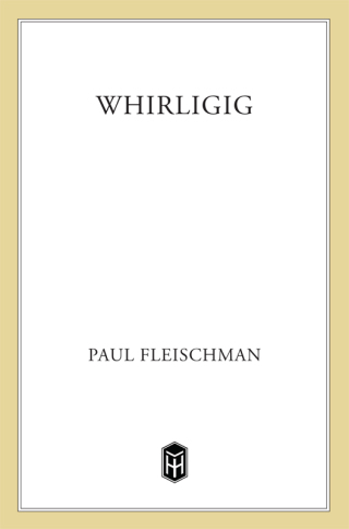 Imagen de portada: Whirligig 9780312629113