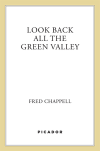 Cover image: Look Back All the Green Valley 9780312243104