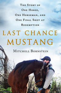 Cover image: Last Chance Mustang 9781250059413