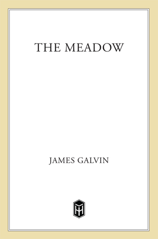 Cover image: The Meadow 9780805027037