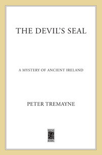 Cover image: The Devil's Seal 9781250059727