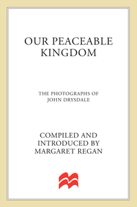 Cover image: Our Peaceable Kingdom 9780312265885