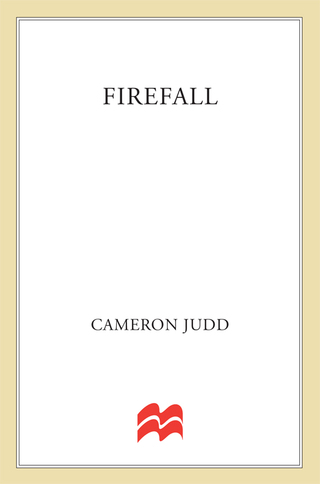 表紙画像: Firefall 9780312973957