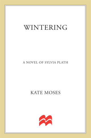 Imagen de portada: Wintering 9780312283759