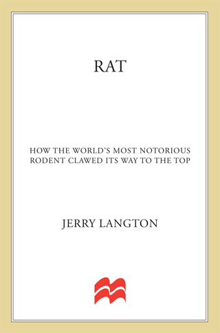 Cover image: Rat: How the World's Most Notorious Rodent Clawed Its Way to the Top 9780312363840