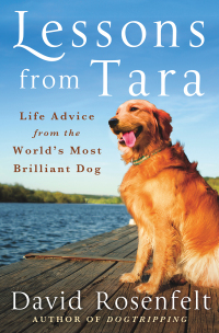 Cover image: Lessons from Tara 9781250065766
