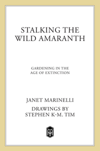 Cover image: Stalking the Wild Amaranth 9780805044157