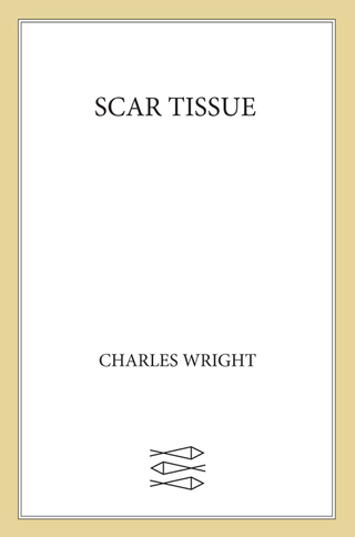 Imagen de portada: Scar Tissue 9780374254278