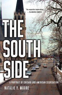 Cover image: The South Side 9781137280152