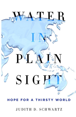 Cover image: Water in Plain Sight 9781250069917