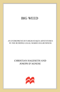Cover image: Big Weed 9781137280008