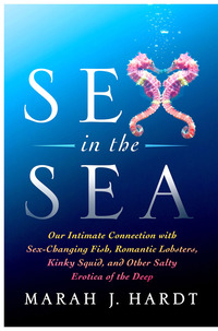 Cover image: Sex in the Sea 9781137279972