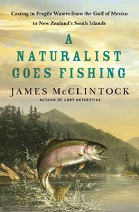 Cover image: A Naturalist Goes Fishing 9781137279903