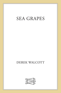 Cover image: Sea Grapes 9780374255244