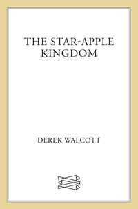 Cover image: The Star-Apple Kingdom 9780374269746