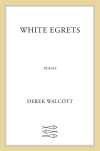 Cover image: White Egrets 9780374532703