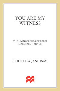 Cover image: You Are My Witness 9780312328078