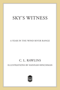Cover image: Sky's Witness 9780805015973