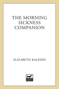 Cover image: The Morning Sickness Companion 9780312284893