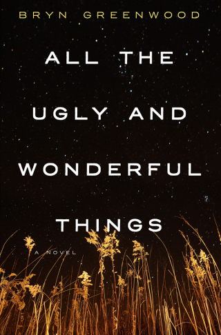 Cover image: All the Ugly and Wonderful Things 9781250074133