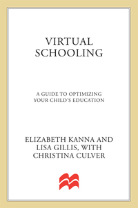 Cover image: Virtual Schooling 9780230614321