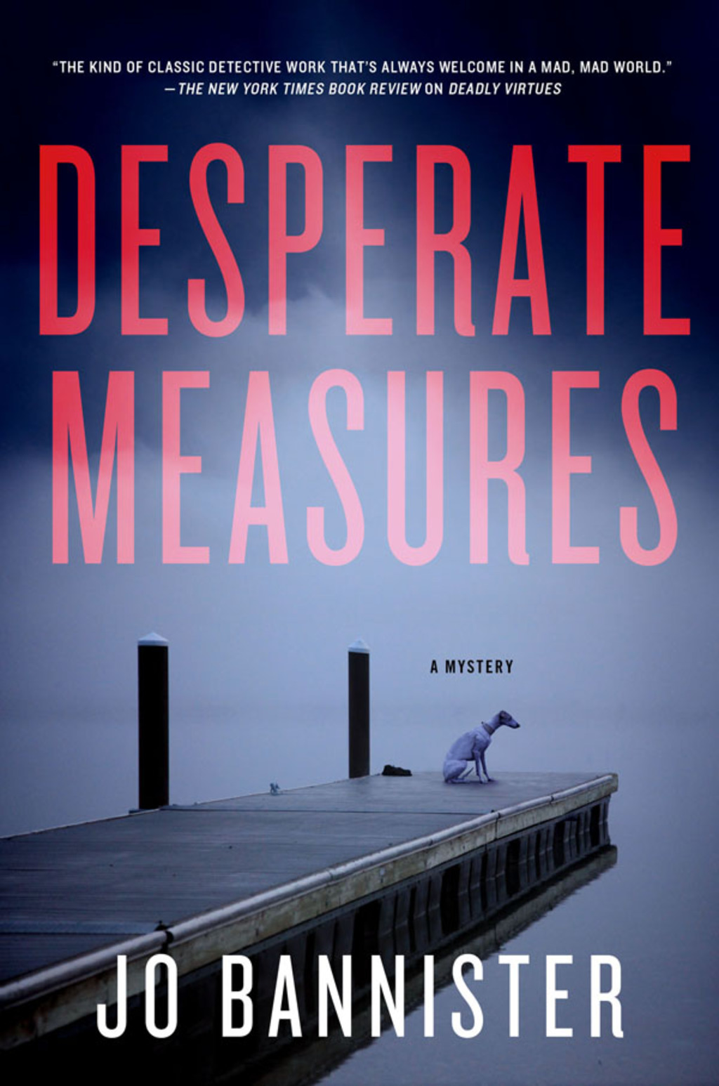 Desperate Measures A Mystery