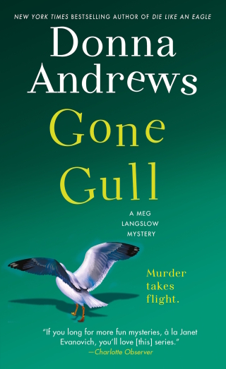 Cover image: Gone Gull 9781250152190