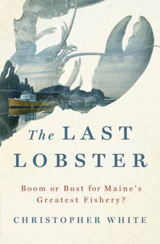 Imagen de portada: The Last Lobster 9781250080851