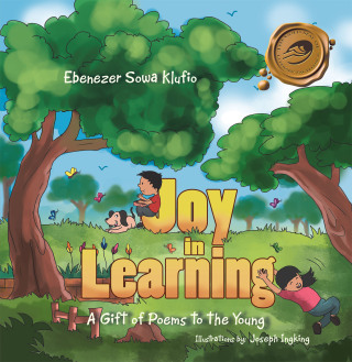 Cover image: Joy in Learning 9781466973374