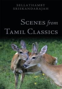 Cover image: Scenes from Tamil Classics 9781438941967