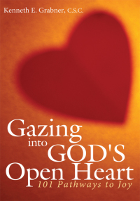 Cover image: Gazing into God's Open Heart 9781438913391