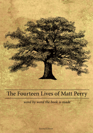 Cover image: The Fourteen Lives of Matt Perry 9781438940076