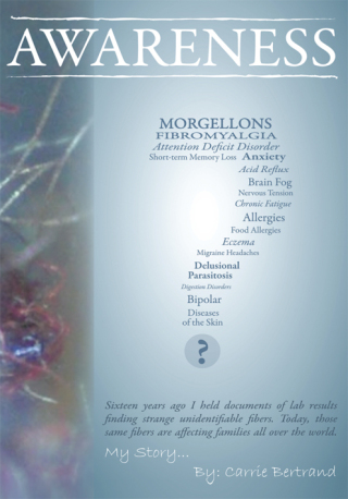 Cover image: Awareness 9781438998404
