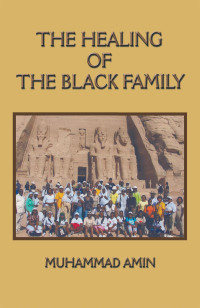 Cover image: The Healing of the Black Family 9781438942841