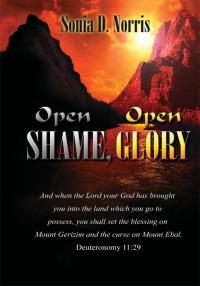 Imagen de portada: Open Shame, Open Glory 9781425964788