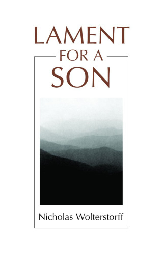 Cover image: Lament for a Son 9780802802941