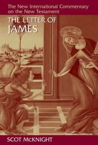 Cover image: The Letter of James 9780802826275