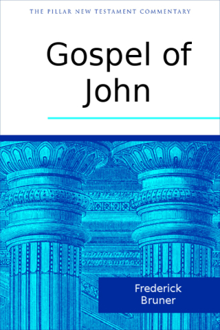 Imagen de portada: The Gospel of John 9780802866356