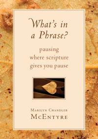 Cover image: What's in a Phrase? 9780802873866