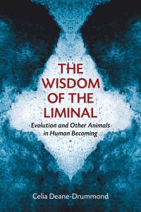 Cover image: The Wisdom of the Liminal 9780802868671