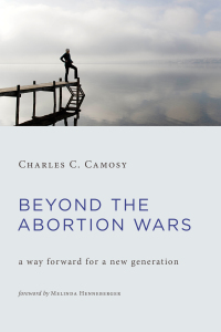 Cover image: Beyond the Abortion Wars 9780802871282