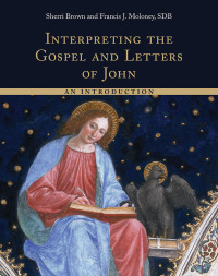 Omslagafbeelding: Interpreting the Gospel and Letters of John 9780802873385