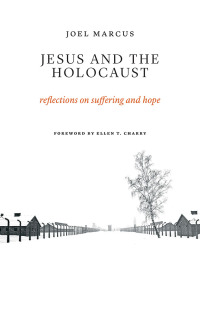 Cover image: Jesus and the Holocaust 9780802874351