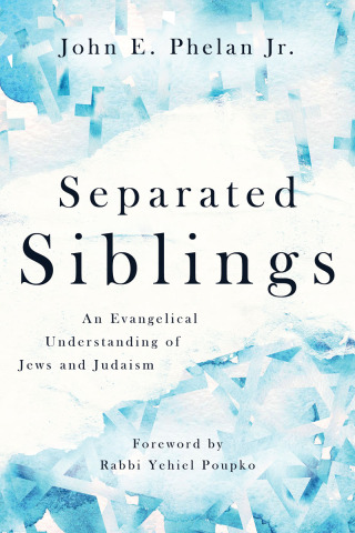 صورة الغلاف: Separated Siblings 9780802874559