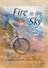Cover image: Fire in the Sky 9781467732093