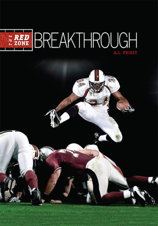 Imagen de portada: Breakthrough 9781467774178