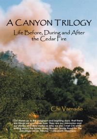 Cover image: A Canyon Trilogy 9781434366368