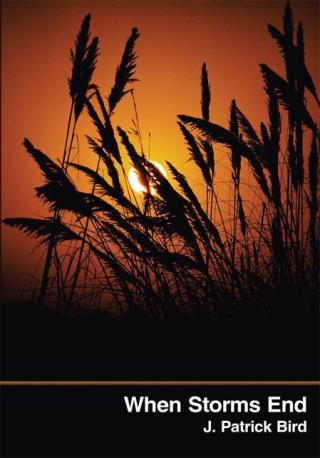 Cover image: When Storms End 9781438951737